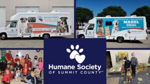 A collage of photos from the Humane Society of Summit County