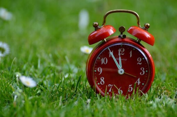 A red old-style alarm clock sits in the grass.