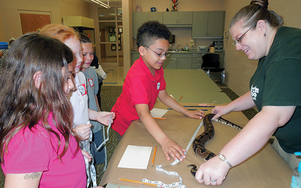 A student measures a live snake