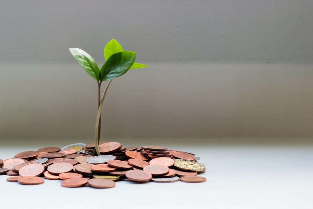 Plant growing from pile of coins