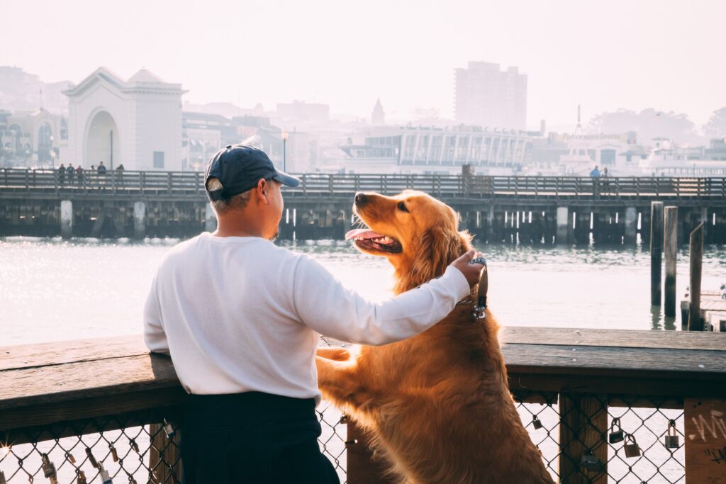 Older man petting a dog