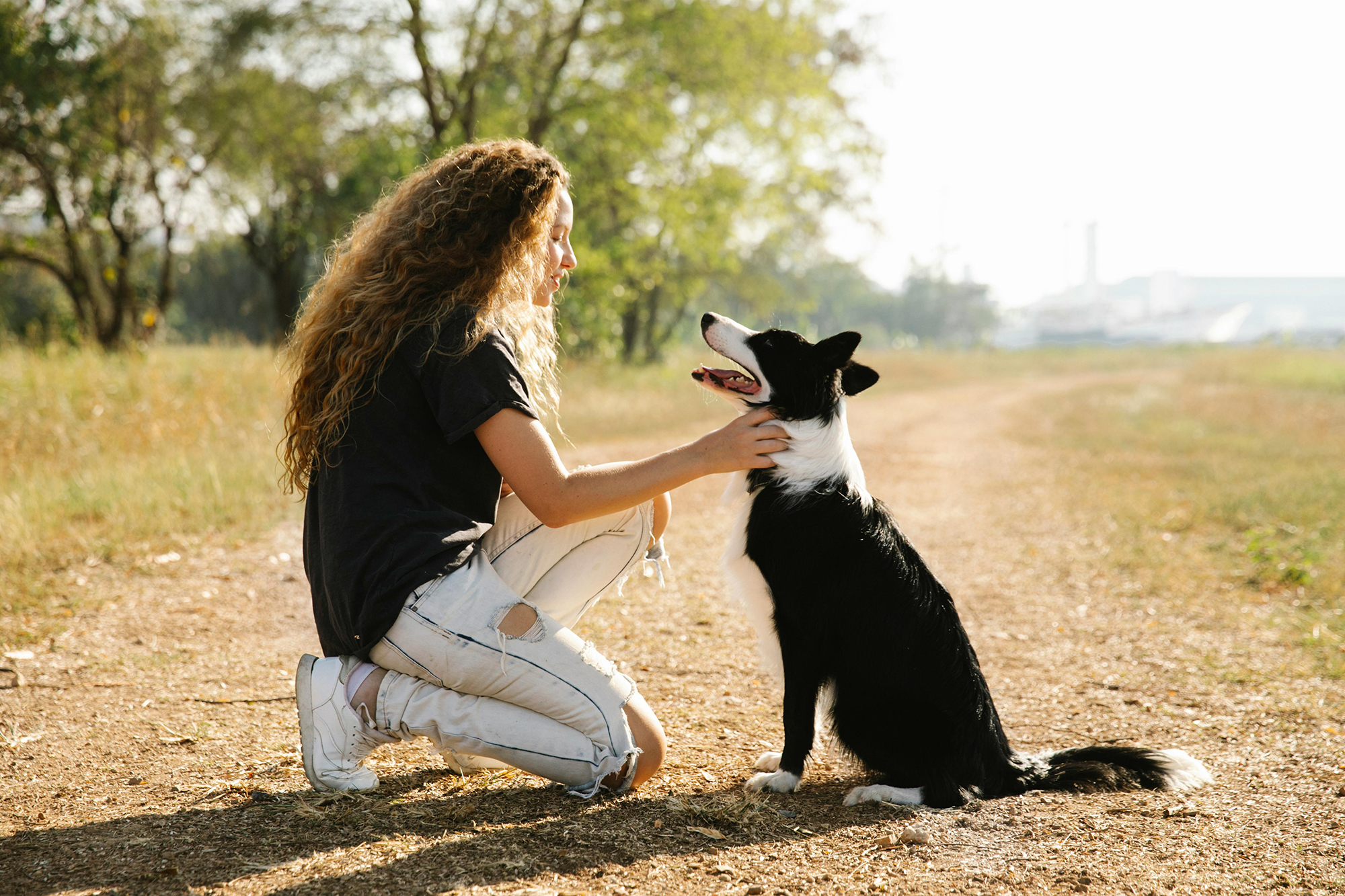 Loyalty wins: Keeping donors close