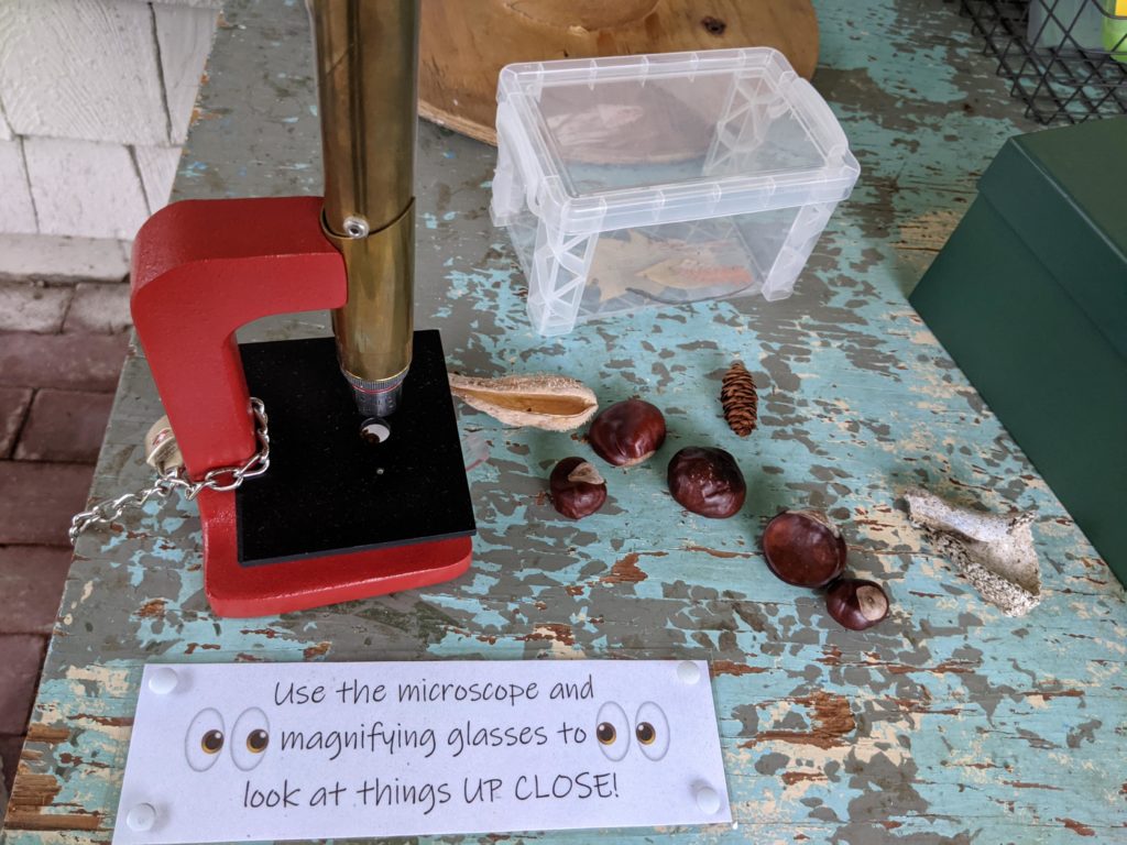 Microscope with nature items on a table