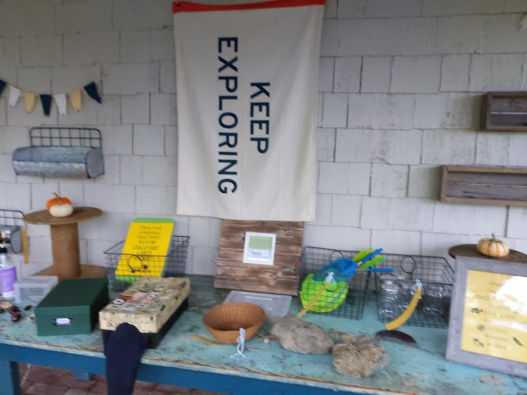 Nature items displayed on a table