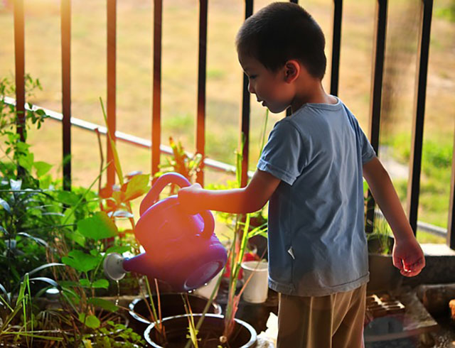 A boy waters plants next to a metal fence.